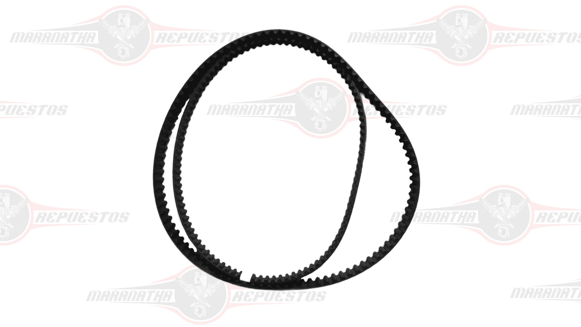 CORREA REPARTICION TOYOTA